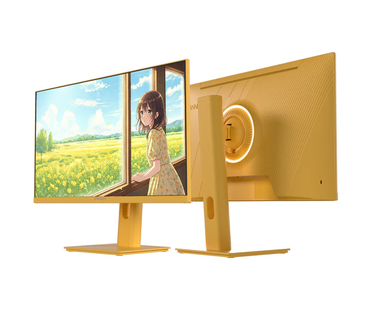 Écran 24"